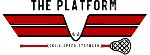 Primary Logo Color